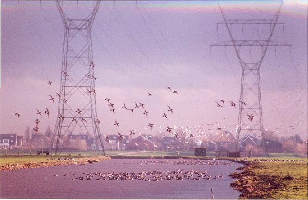 Westvaart met Smienten